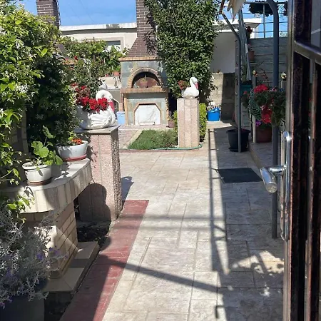 Garden View *